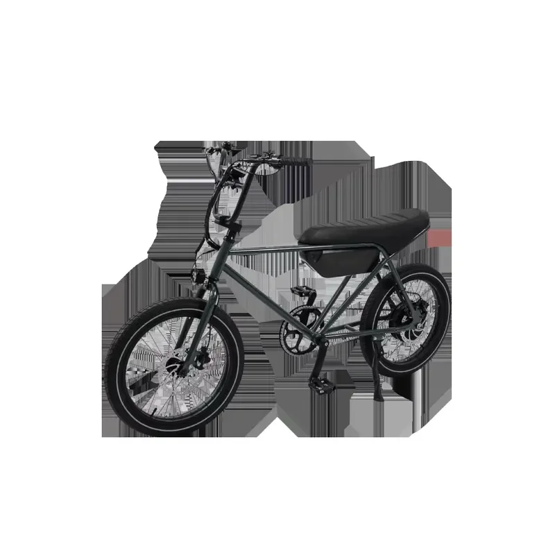 1000W Long Seat Electric Bike Powerful Rear Hub Motor E Bikes Long Range Lithium Battery Cheap Factory Price E-Bike