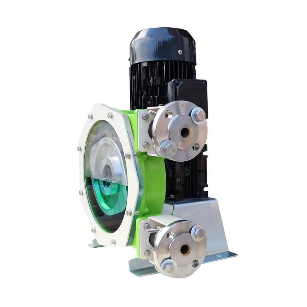 Oil tank fluid delivery peristaltic hose