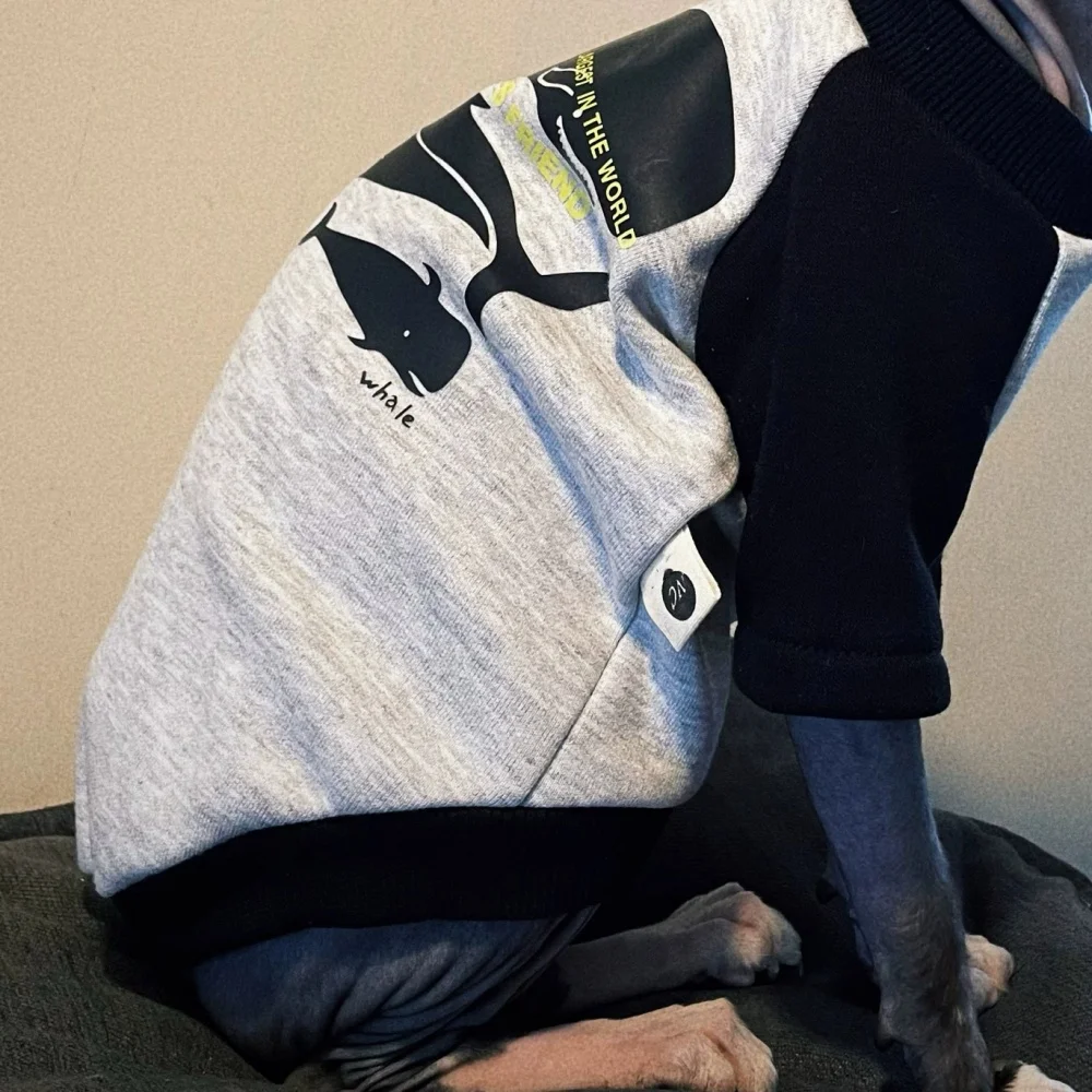 Cartoon Dinosaur Sweatshirt for Sphynx Cat Thick Grey Coat for Kittens Spring Winter Soft Warm Loungewear for Devon Rex