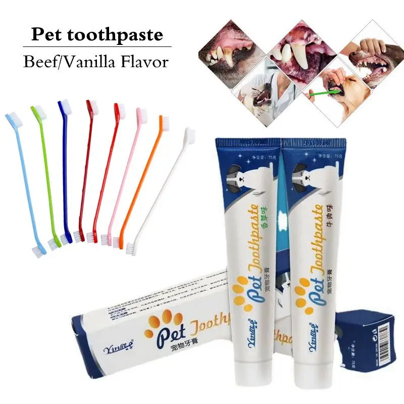 Dog Toothpaste Dental Care Enzymatic Toothpaste in Vanilla Beef Flavor Large Tubes of Enzyme Dog Toothpaste Dog Care Toothbrush