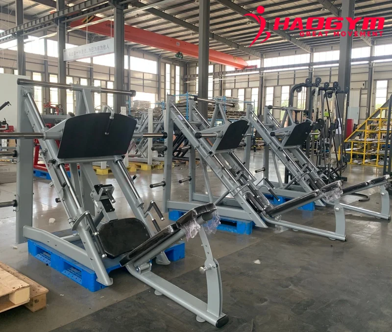 HAOGYM Silver Fitnessapparatuu - Leg Press Machine recensie en prijs