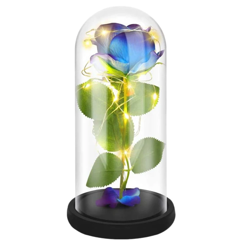 Fleur avec lumière LED en verre pour femme, rose qui dure pour toujours, meilleur cadeau d'anniversaire pour la fête des mères de Léon, breton