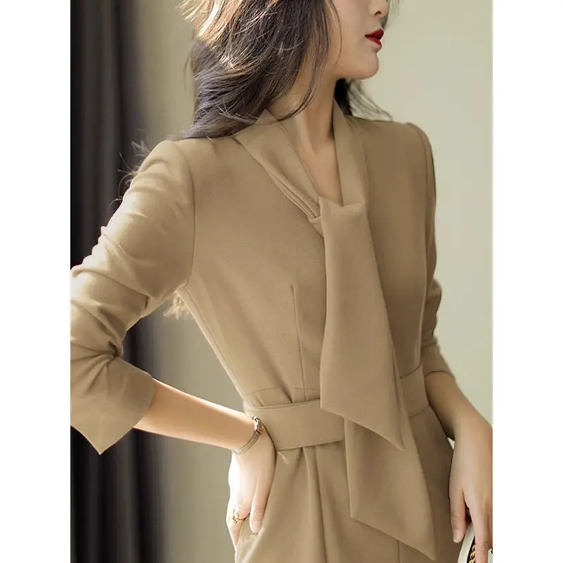 New Style of Women's Clothing Elegant and Elegant Lady's Over-the-knee Long Skirt Light and Luxurious Fishtail Windbreaker With