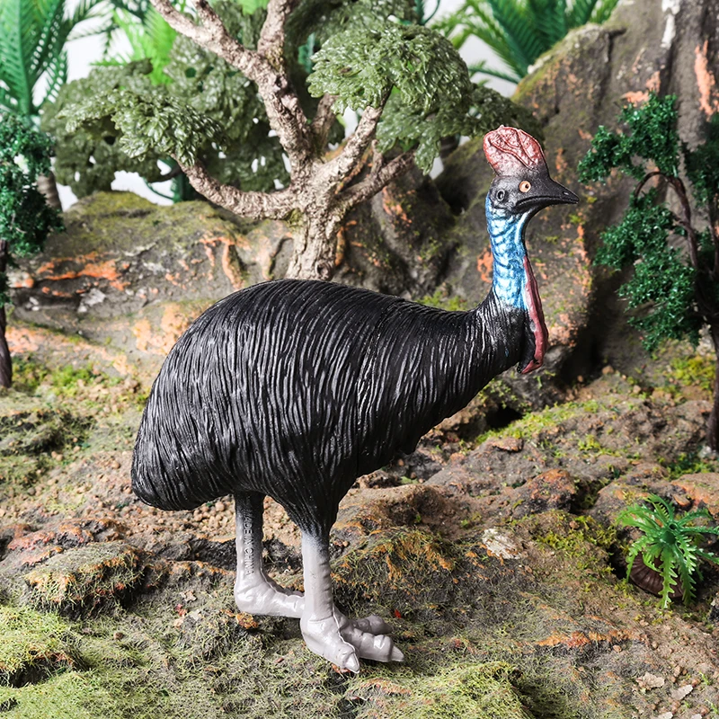 Oenux, 6 uds., animales salvajes australianos clásicos, canguro, Koala, Cassowario, modelo de figura de acción, juguete educativo, regalo para niños