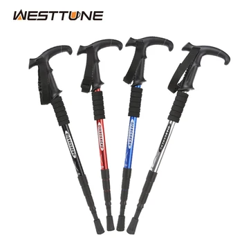 Folding Trekking Pole 1