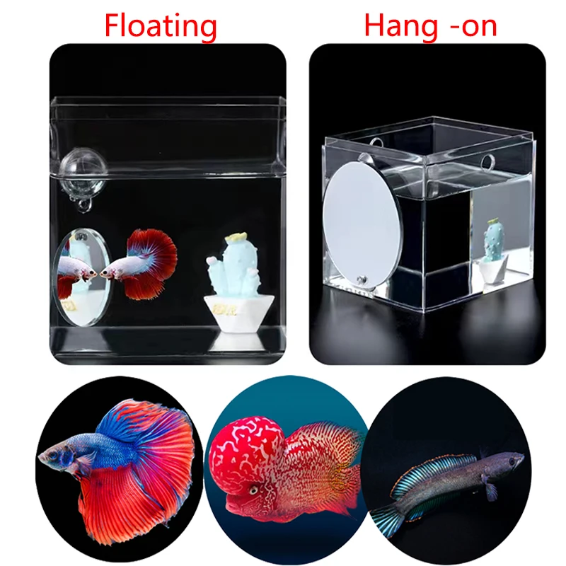 Acrylic Aquarium Betta Mirror Fish Tank Floating Round Mirror For Fish Betta Flowerhorn Cichlid Training 4cm/5cm/6cm/7cm/8cm