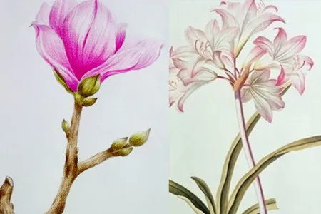 

RC 313mm 2-Speed Transmission Chassis Frame with Differential Portal Axle for Trxs TRX-4 1/10 RC Car DIY Parts