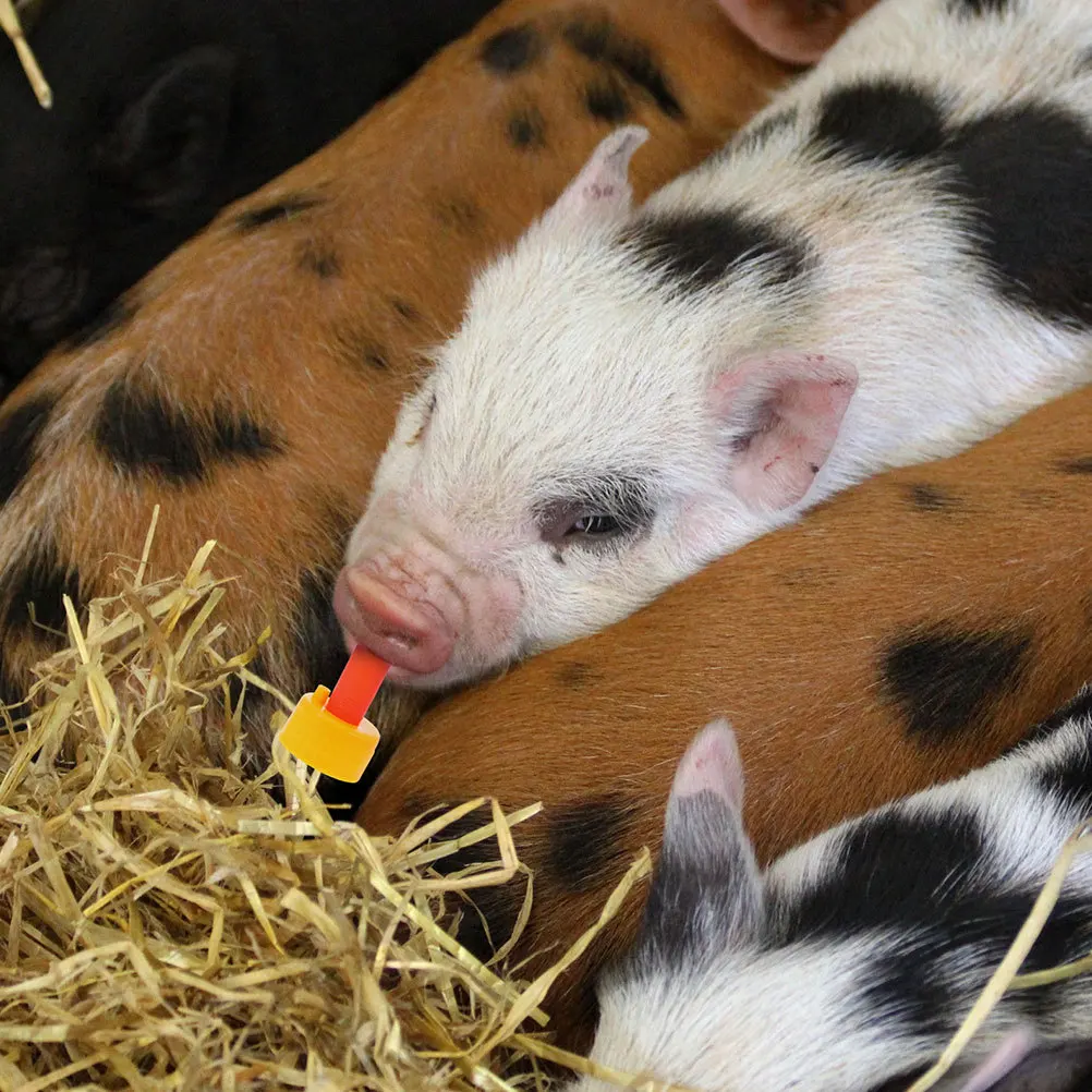 

20pcs Small Animal Pacifier Durable Anti-Bite Nipple For Livestock Feeding Bottle Milk Bottles Nipples Lamb Feeding Tools Pet