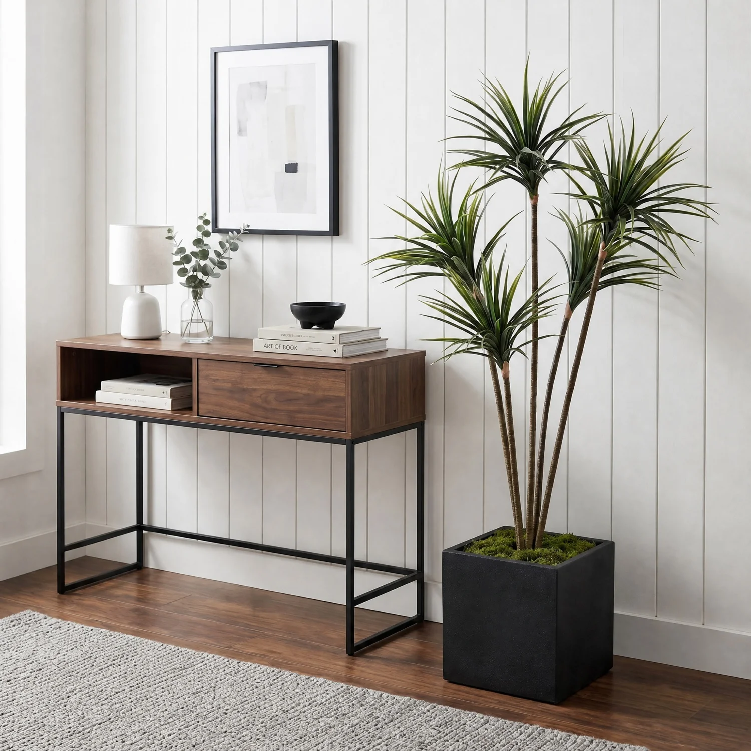 ต้นดรากีน่ามาร์จินาตาเทียมขนาด - Dracaena Marginata บทวิจารณ์และราคา