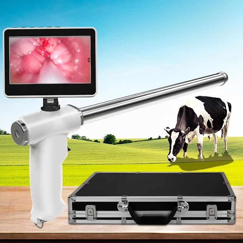 Insemination Gun, Artificial Insemination Endoscope, Dairy Cattle Reproduction, Examination Tools, Artificial Insemination Equip