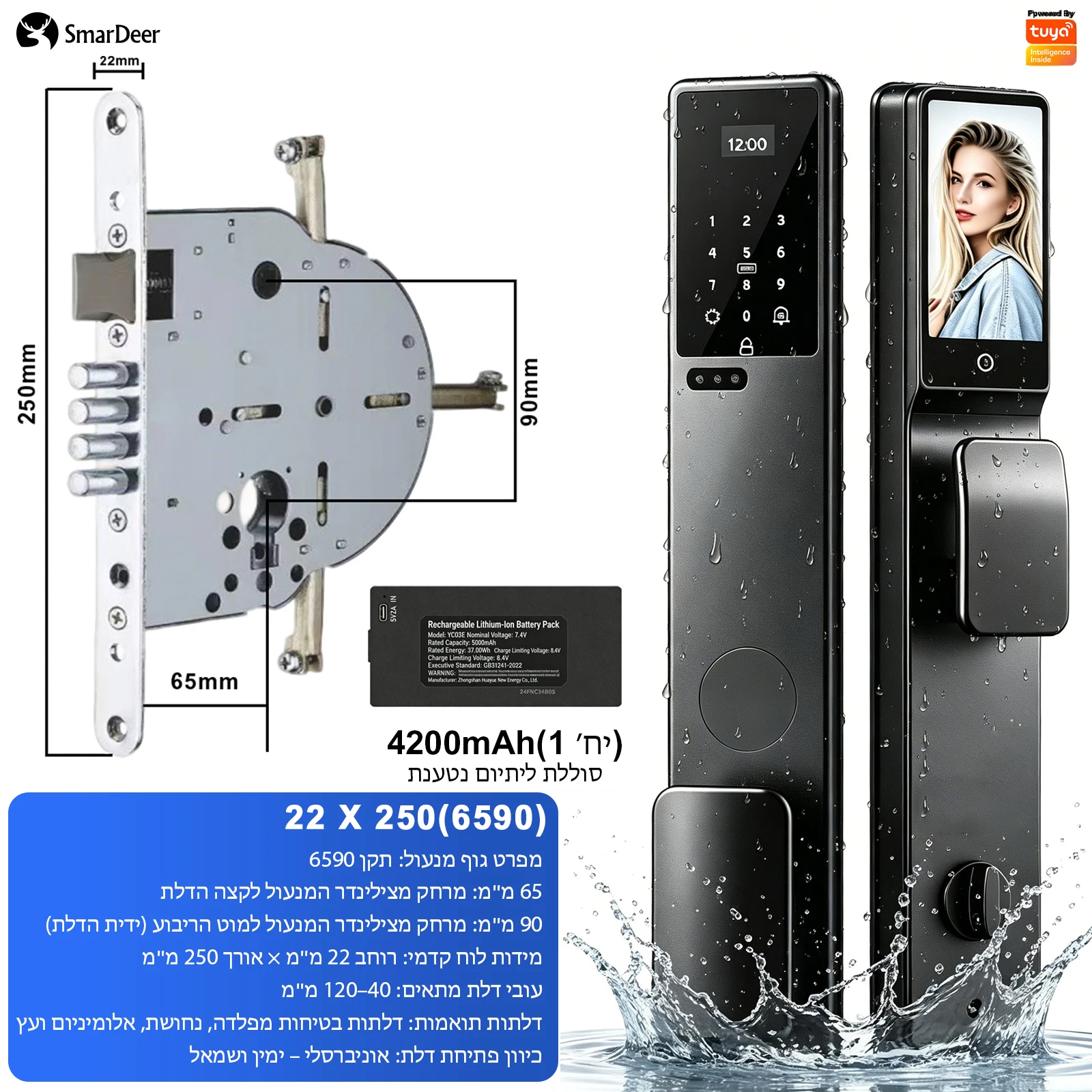 SmarDeer Smart Deurslot IP66 Waterdicht Voor Israël 6590 Insteekslot Hebreeuws Spraakmenu 3D Gezicht Palm Ader Digitale Keyless Lock