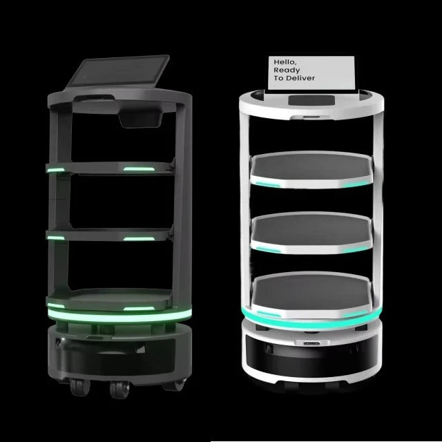 Temi Smart Autonomous Serving Robot Temi GO with 35m Lidar & 18H Standby for Restaurant Food/Drinks Delivery