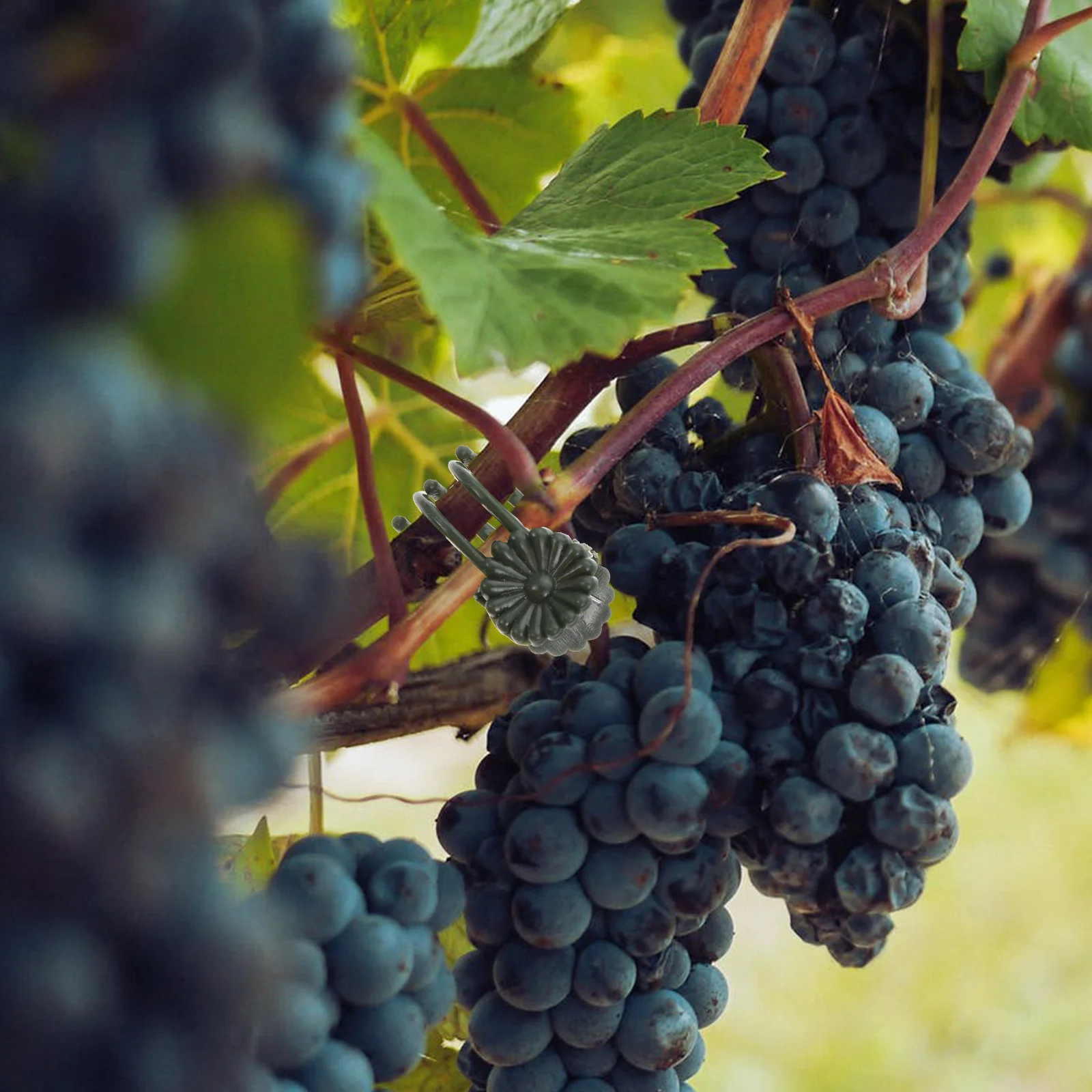 

50Pcs Reusable Plastic Plant Clips Garden Orchid Support Clamps Flower Vine Tomatoes Beans Stem Holder Fixing Stem Orchid Clips