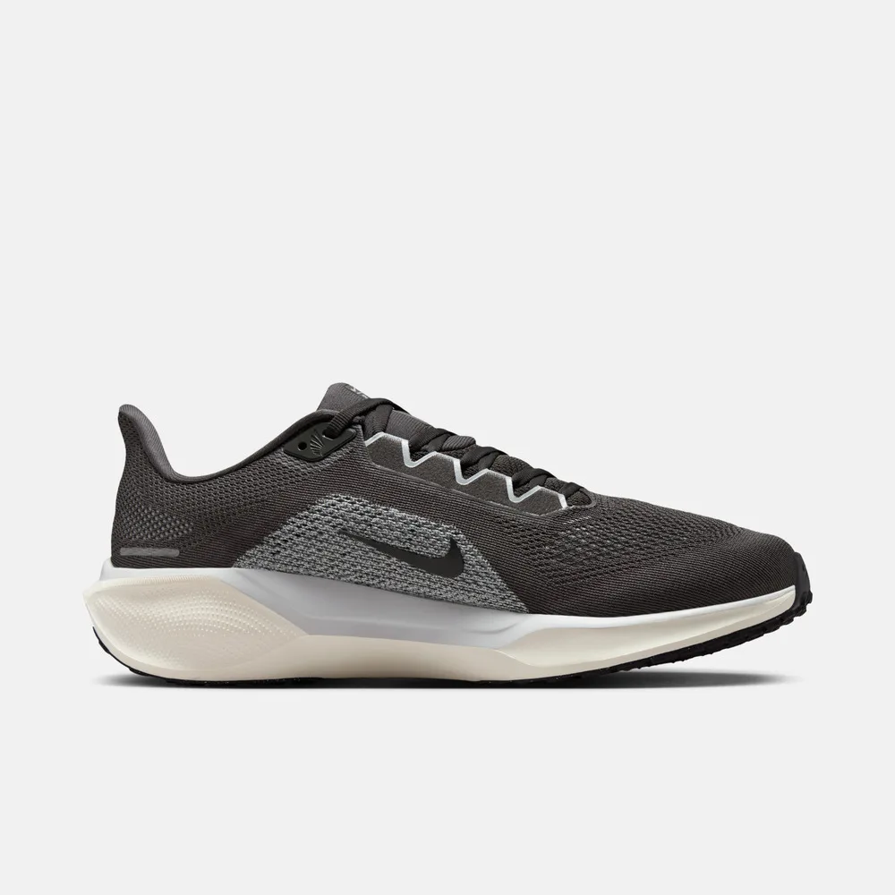 NIKE chaussures d'entraînement et de course AIR ZOOM PEGASUS 41 pour hommes FD2722-215
