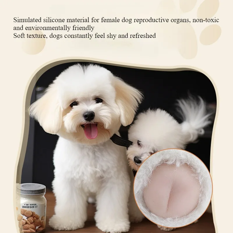 Teddy Bear Dog Erotic Toy Small Male Dog in Heat Masturbating Self Pleasuring Pet Sexual Partner Female Dogs Plush Toys