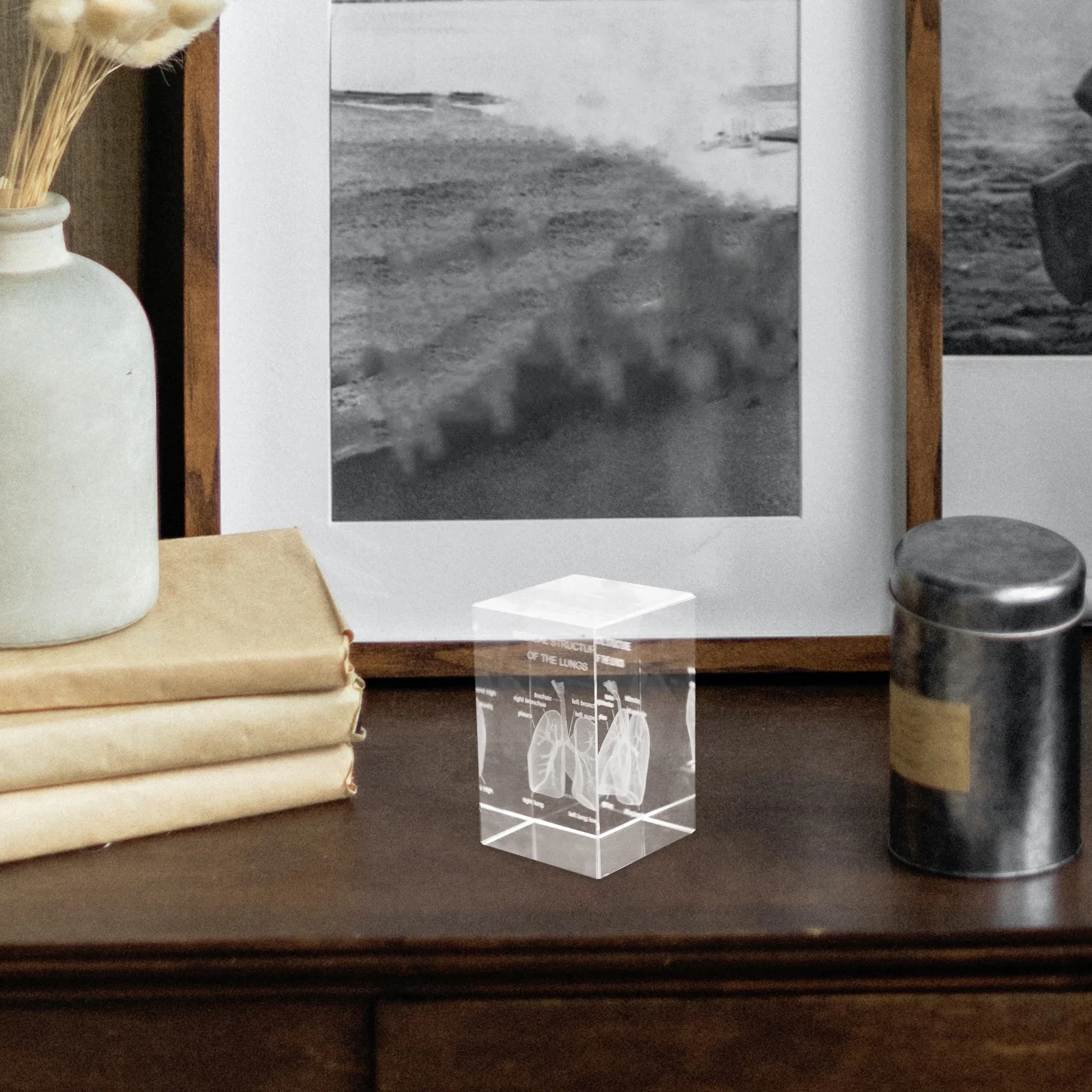 

Crystal Inner Carved 3D Human Lung Anatomy Science Decor For Home Office Medical Education Display Paperweight Cubes