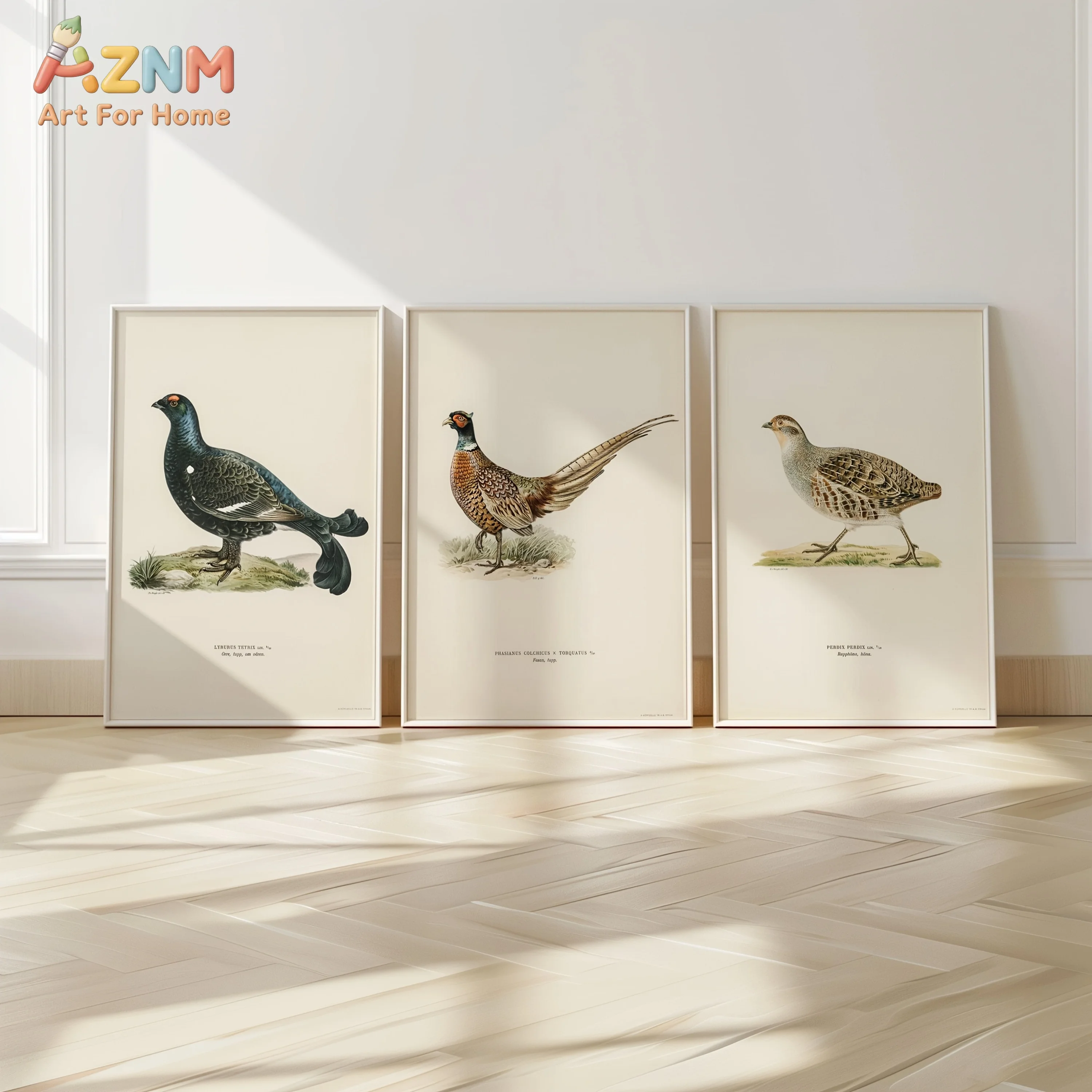 AZNM Vintage Wildlife Bird Canvas Wall Art Grouse Pheasant Partridge Antique Scientific Drawing Print Unframed Canvas Painting F