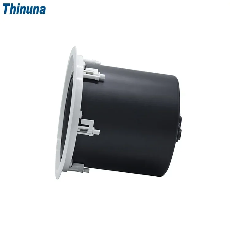 2025 Thinuna MS-10SUB-L II PA نظام مضخم الصوت 10 بوصة السلبي 240 واط باس ثابت المقاومة السقف الفرعية مكبر الصوت المتكلم #2