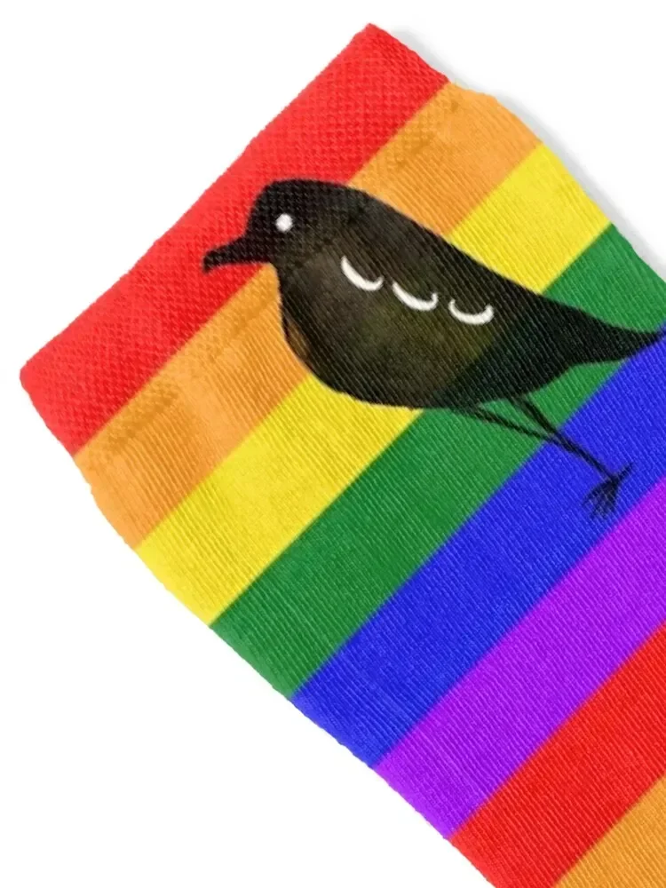 Rainbow crow Socks Wholesale japanese fashion New year's christmas gifts Socks Woman Men's