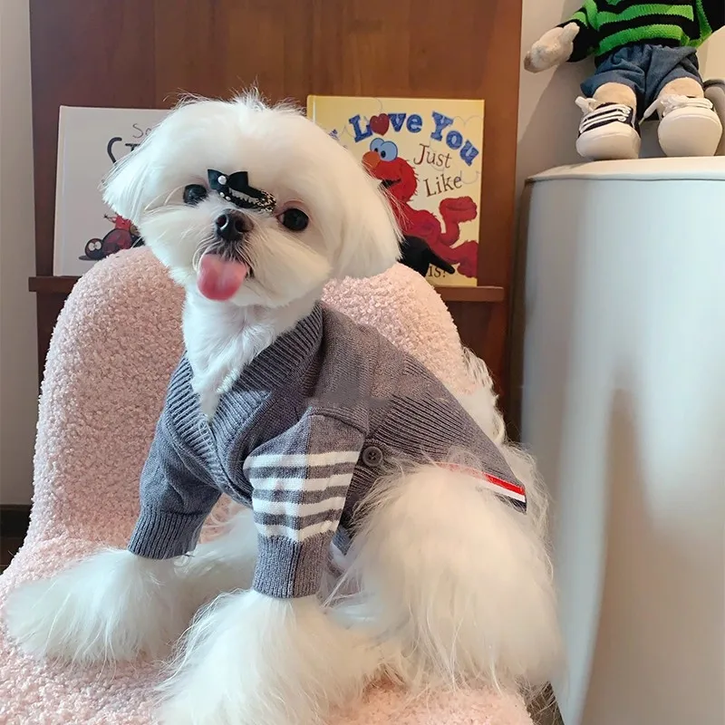 

Super High-Quality College-Style Doggy Dresses And Sweaters. Grey-Striped Little Puppy Trendy Clothing