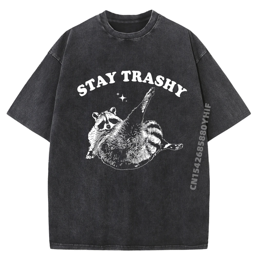 

Мужская футболка с принтом Stay Trashy, забавный енот, мусор, женские топы, футболки, футболка с графическим рисунком, мужская винтажная стираная футболка