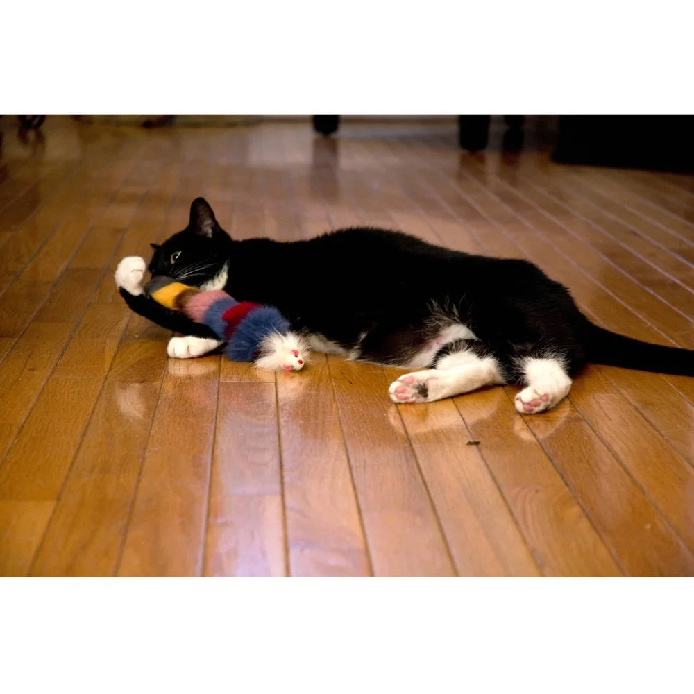 

Multi-Colored Weasel Toy Cats Tear-Resistant Plush Interactive Pet Toy Fun Playtime Accessory Kittens