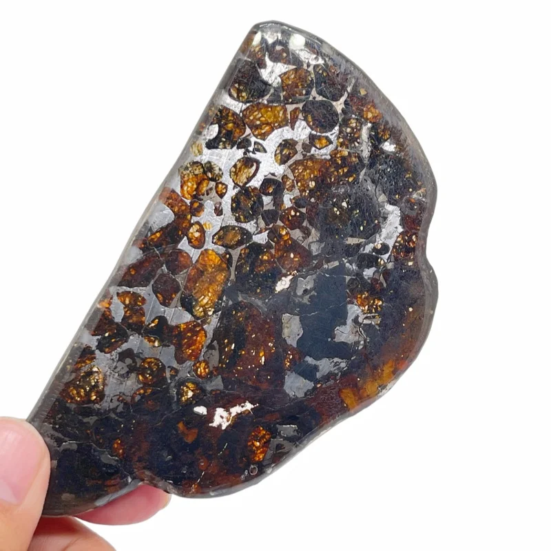 27.6g Quality Brenham Olive Meteorite Slice Natural Meteorite Material Olive Meteorite Specimen Artwork Collection TA736