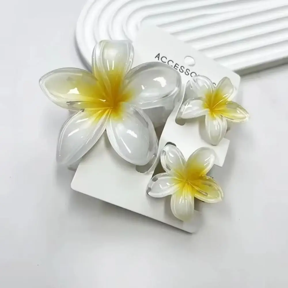 3Pcs/Set New Acrylic Gradient Hair Claws Sweet Flower Acrylic Hair Clips Clamp Plumeria Flower Ponytail Clip Beach