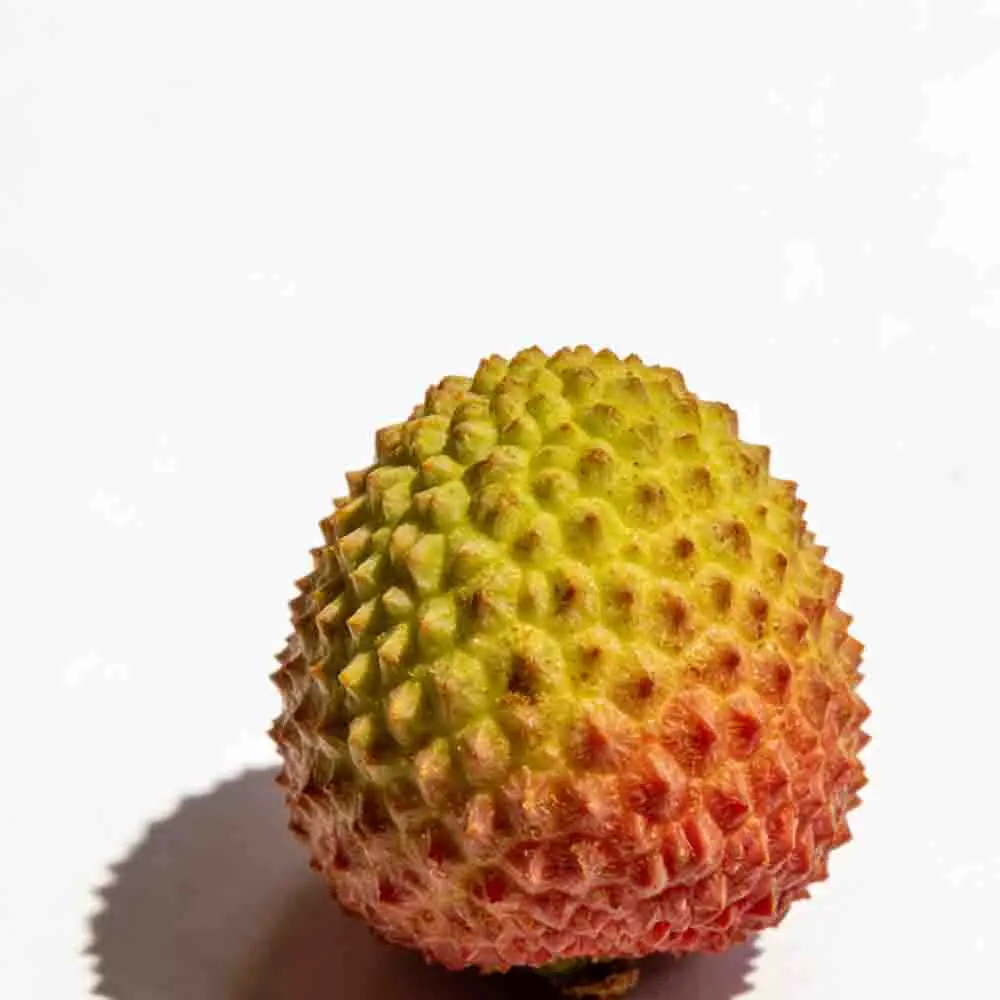 Kit de Marco TJRC J5 V2 de 5 Pulgadas para FPV, Compatible con O4 Pro Air Unit Digital VTX para Carreras FPV, Quadcopter Freestyle, Dron, Herramientas RC