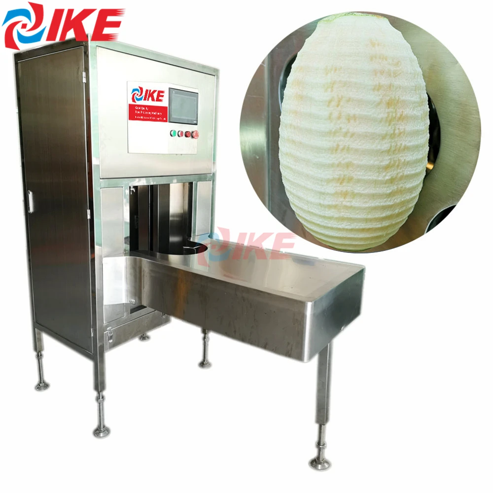 Grand éplucheur industriel de fruits et légumes pour l'épluchage de papaye de citrouille et de cire