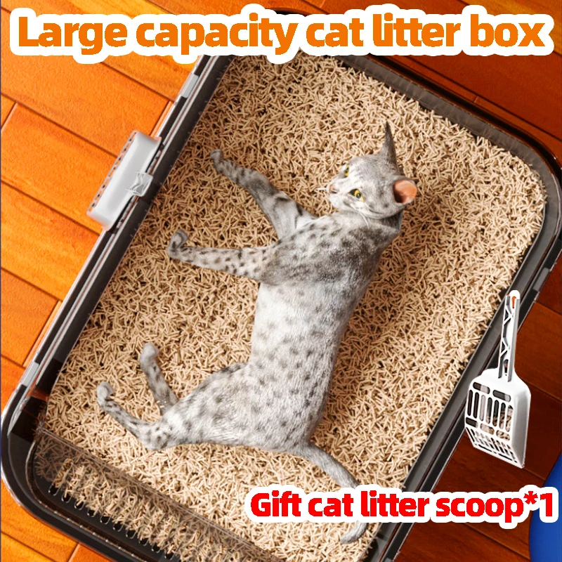 #37 Ranked Cat Bed Pans Picks in 2026