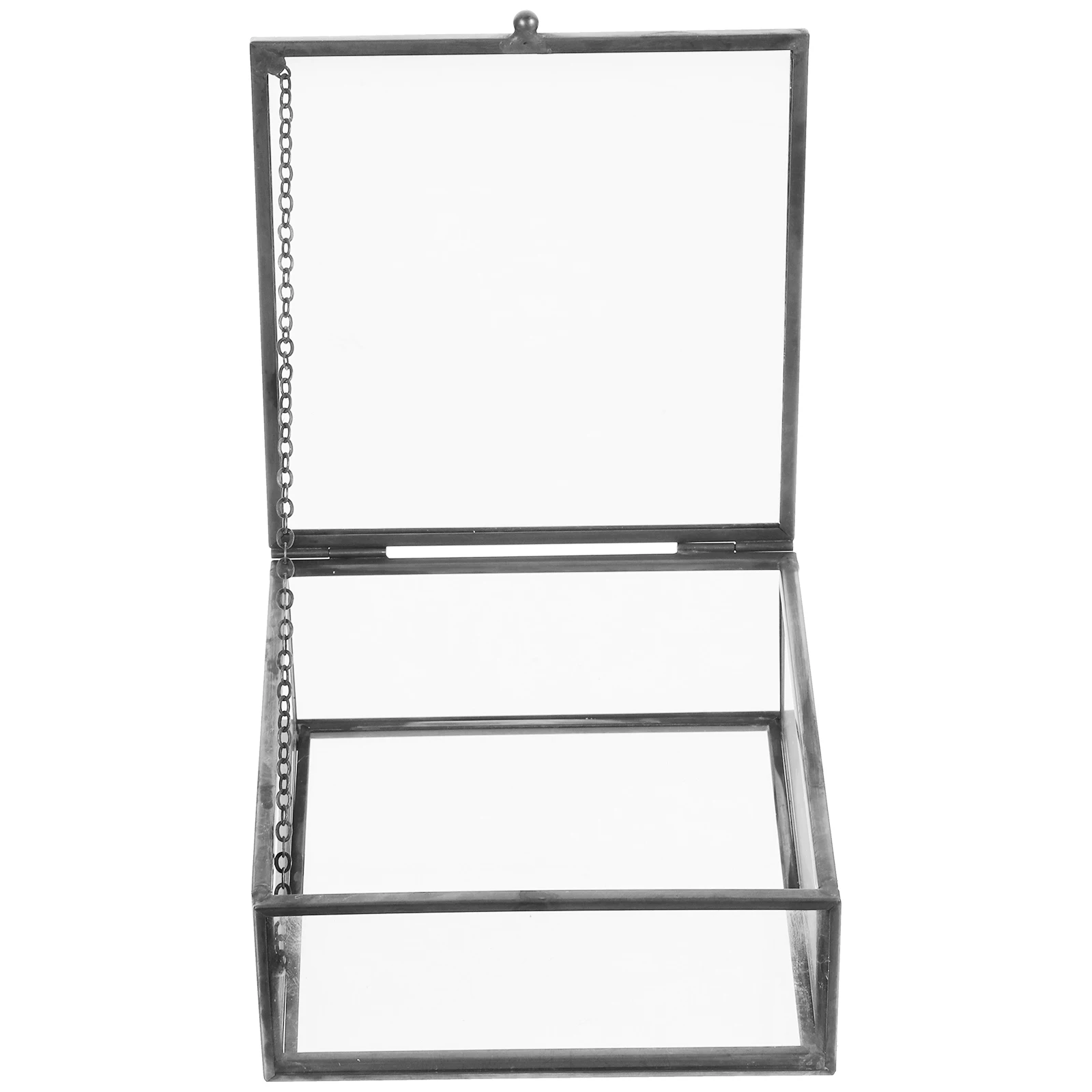 

Delicate Jewelry Storage Box Decorative Container Desktop Black Alloy Case Baby