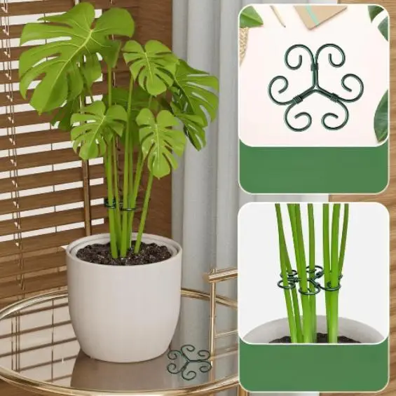 4 Piece Stainless Steel Monstera Support Kit with Green Binding Tape for Indoor Plant Training and Stem Positioning