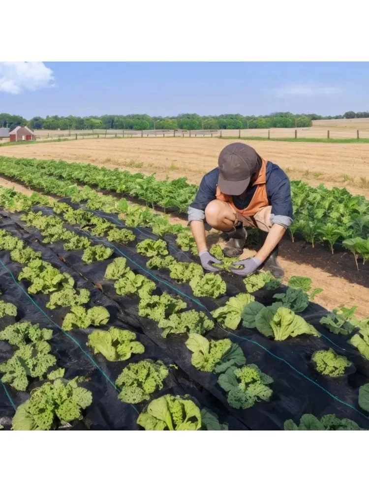 Weed Barrier  Landscape Fabric Heavy Duty Geotextile Fabric Woven Weed Control Mat for Underlayment