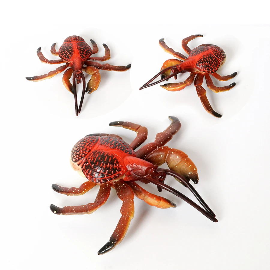 Animais do oceano realistas, caranguejo eremita, caranguejo de coco, fiddler, modelo de vida marinha, figuras de ação, criaturas do mar, brinquedos para decoração de casa