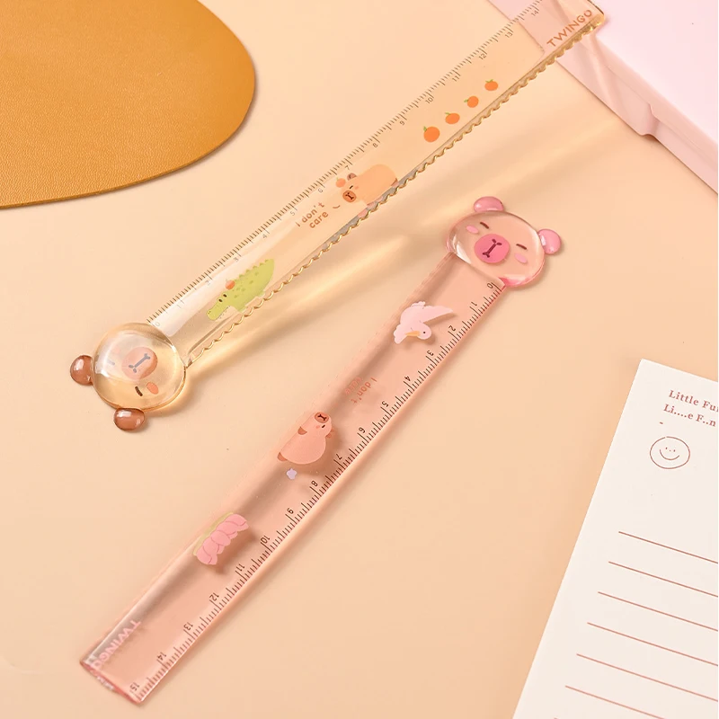 Mr. Paper, Creative Acrylic Ruler, Student Specific Drawing and Measuring Ruler, Stationery Supplies