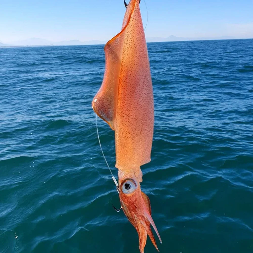 5pcs UV Horizontal Squid Jig 10.5cm Laser Holographic Body Wood Shrimp Luminous Realistic Egi Lure Sea Octopus Fishing Tackle view 2