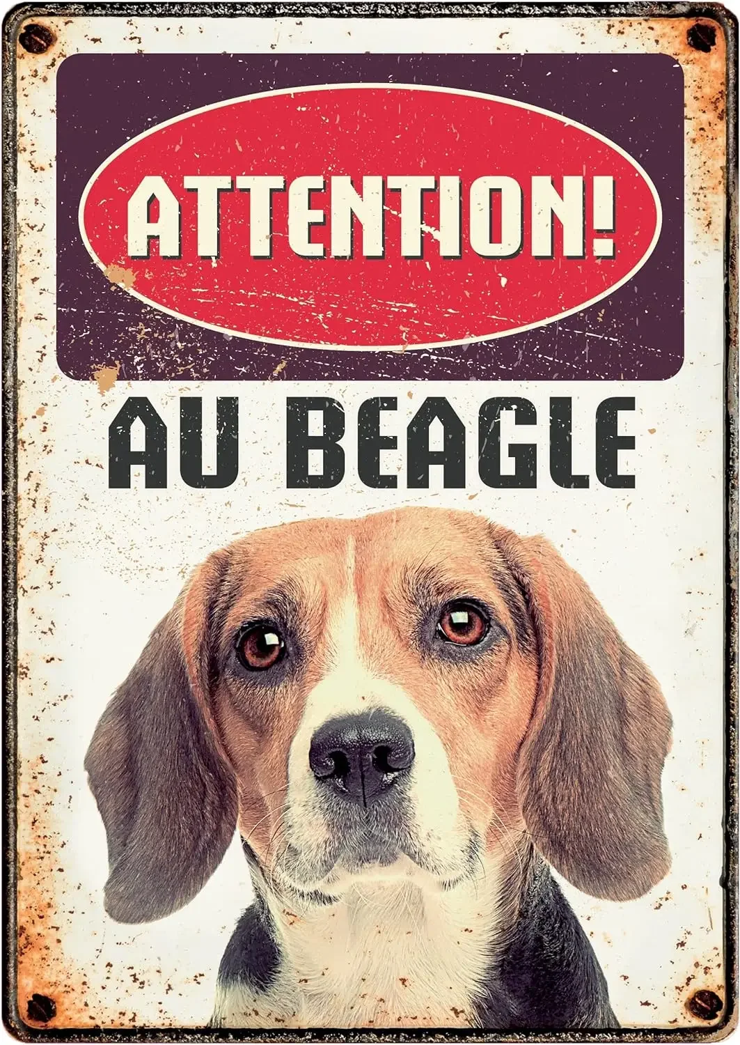 Plenty Gifts Vintage Metal Plate Sign Attention Spoiled Chihuahua,dogs,Jack Russell Terrier,Shih TZU,pets,macroanimal