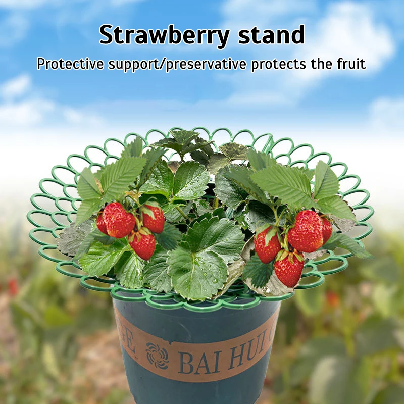 

Strawberry planting tray holder Gardening potted fruit family green plant splicing anti-rot fruit shelf support rack