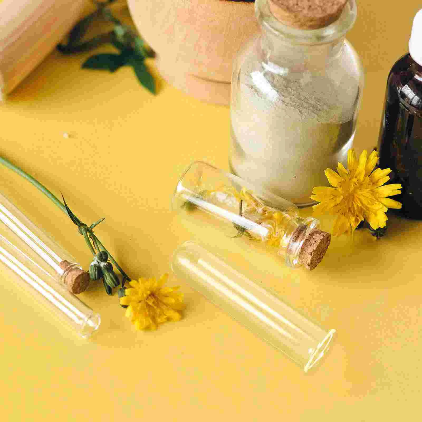 5 Pcs Hydroponic Vase Transparent Glass Tube Plant Propagation Tubes Desk Test Clear Water for Flowers Office