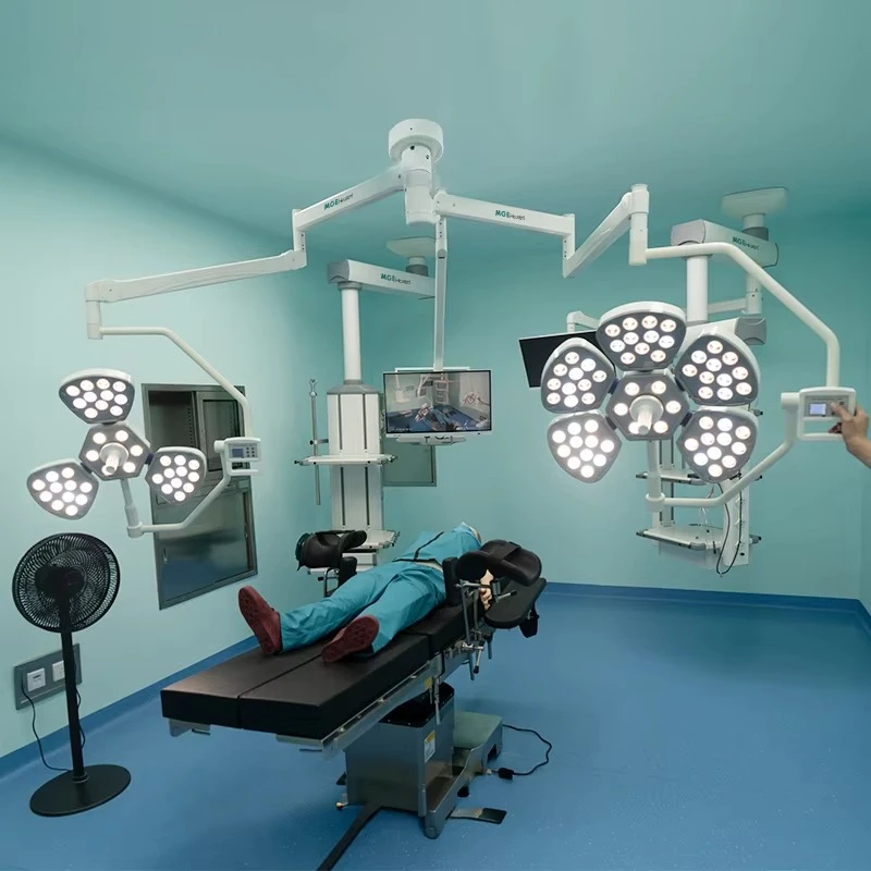 Ceiling Mount Petal Shaped Double Head LED Operating Lamp Built-In Endoscopic Mode Surgical Light For Hospital Clinic Operation