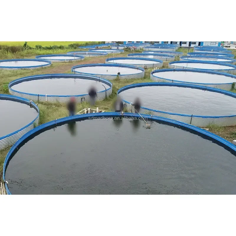 Recirculating Aquaculture System Fish Pond for Aquaculture Fish Farming Feeding Pond with Galvanized Steel Panel Support