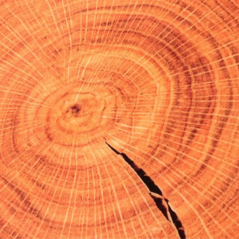 Niedliches, rundes Sitzkissen aus weichem Plüsch mit Holzmaserung, Dekokissen in Stumpfform für Zuhause und Auto – Detail 15