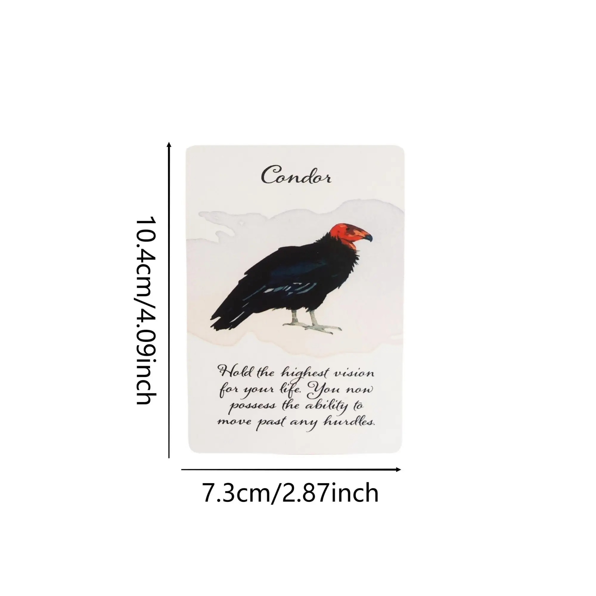 Divine Feather Messenger Tarot Oracle Cards 44 Birds Symbolism & Energies 10.4x7.3CM Divination Fate Reading and Board Game