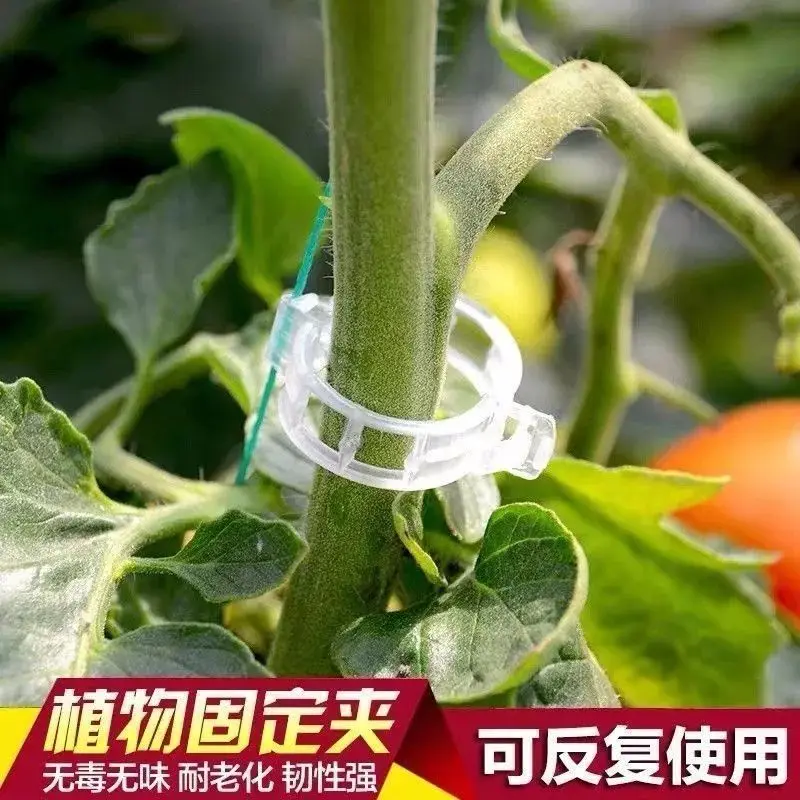 Green Plant Fruit Tree Plant Fixing Clip Snap Vine Fixer Seedling Climbing Vine Support Rod Fast Delivery