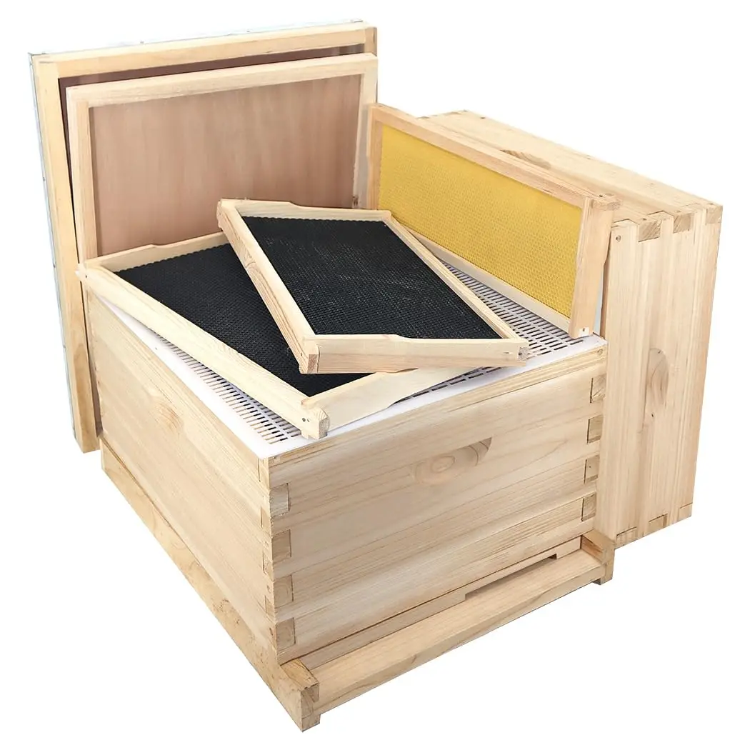 2-layer 10 frame hive 10-Frame Bee Hives and Supplies Starter Kit