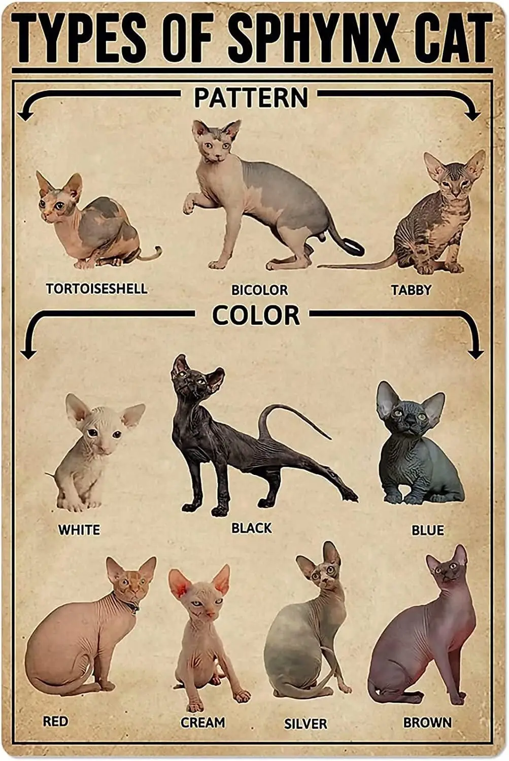 Types Of Sphynx Cat Metal Tin Signs Vintage Home Hanging Decor Sphinx Cat Popular Science Knowledge Plaque Club School Educ sign