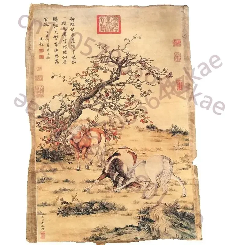 Chinese Old Scroll - Lang Shining's Steeds Picture Painting on Rice Paper Slice collection