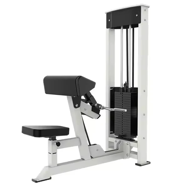 Newest Fitness Equipment Commercial Gym Indoor Fitness Products Biceps
