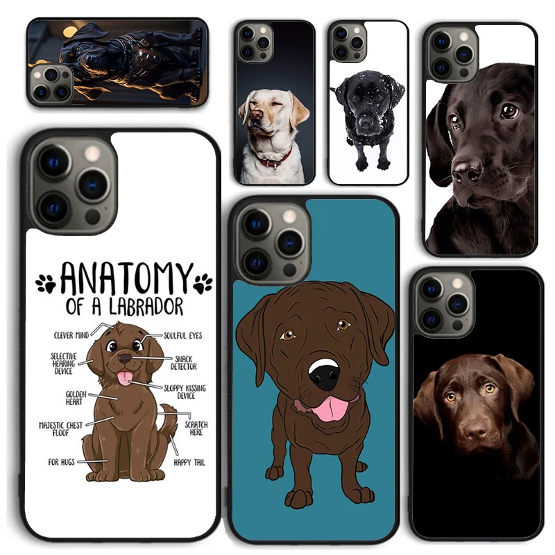 Labrador Puppy Dog Soft Phone Case For iPhone 16 15 SE2020 14 Max 6 7 8 Plus 11 12 13 Pro Max Mini Phone Cover coque Fundas